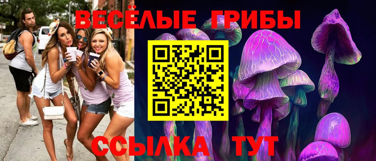 Партизанск  Псилоцибиновые грибы мицелий  как найти наркотики  Вход с VPN 