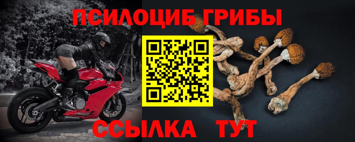 Псилоцибиновые грибы мицелий Партизанск